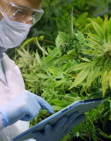 Lab Tested Rigorously - BakeBoxx feature illustration