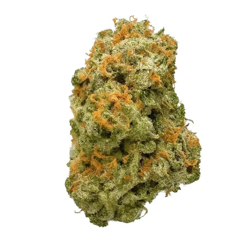 Blue Champagne Exotic THCa Flower