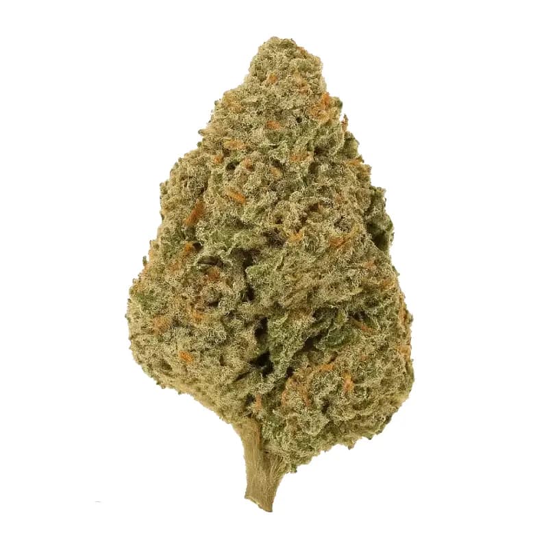 Mac 1 Greenhouse THCa Flower