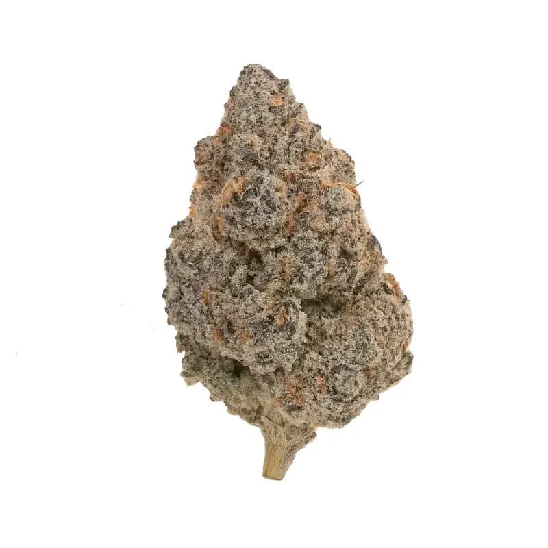 Pink Gushers Indoor THCa Flower