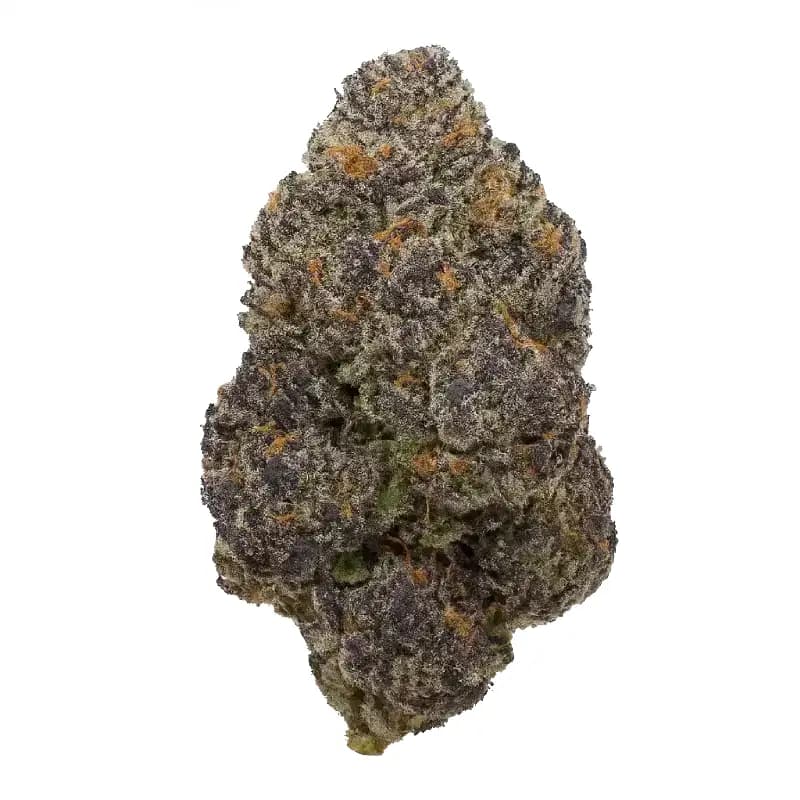 Black Cherry Soda Exotic THCa Flower
